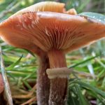 IMG_8290 edited edited